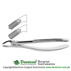 English Pattern Tooth Extracting Forcep Fig. 17 (For Upper Right Molars) Stainless Steel, Standard
